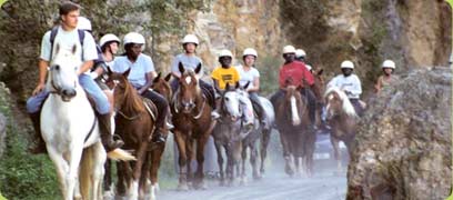 promenade equestre en pleine nature dans le cantal