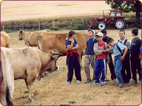 découverte des animaux de la ferme