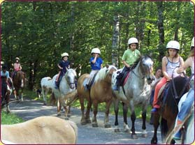 randonnée équestre dans le cantal