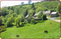 anciennes fermes restaurées en 3 gîtes