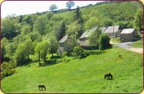 anciennes fermes restaurées en 3 gîtes